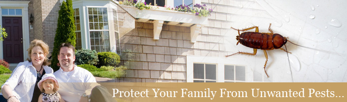 Protect your family against unwanted pests - eliminate bedbugs
